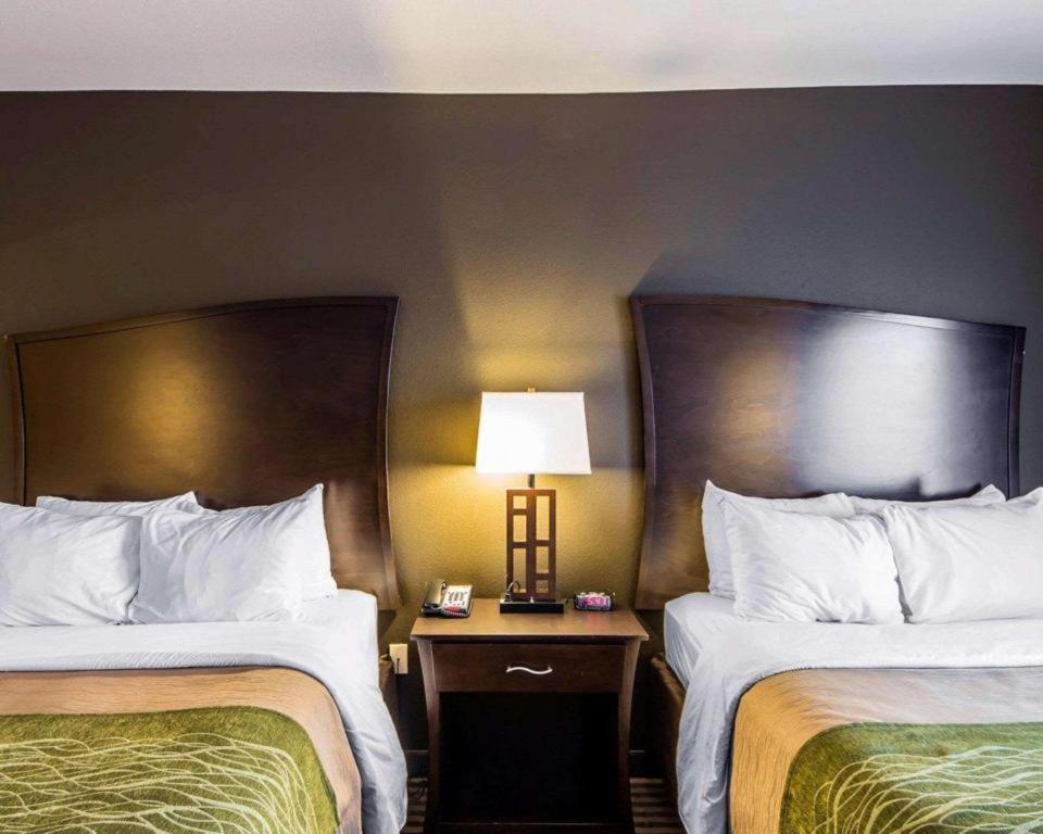 Alva Comfort Inn & Suites מראה חיצוני תמונה