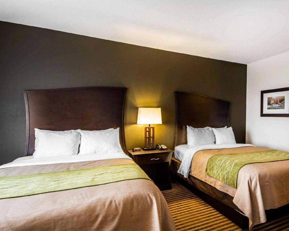 Alva Comfort Inn & Suites מראה חיצוני תמונה