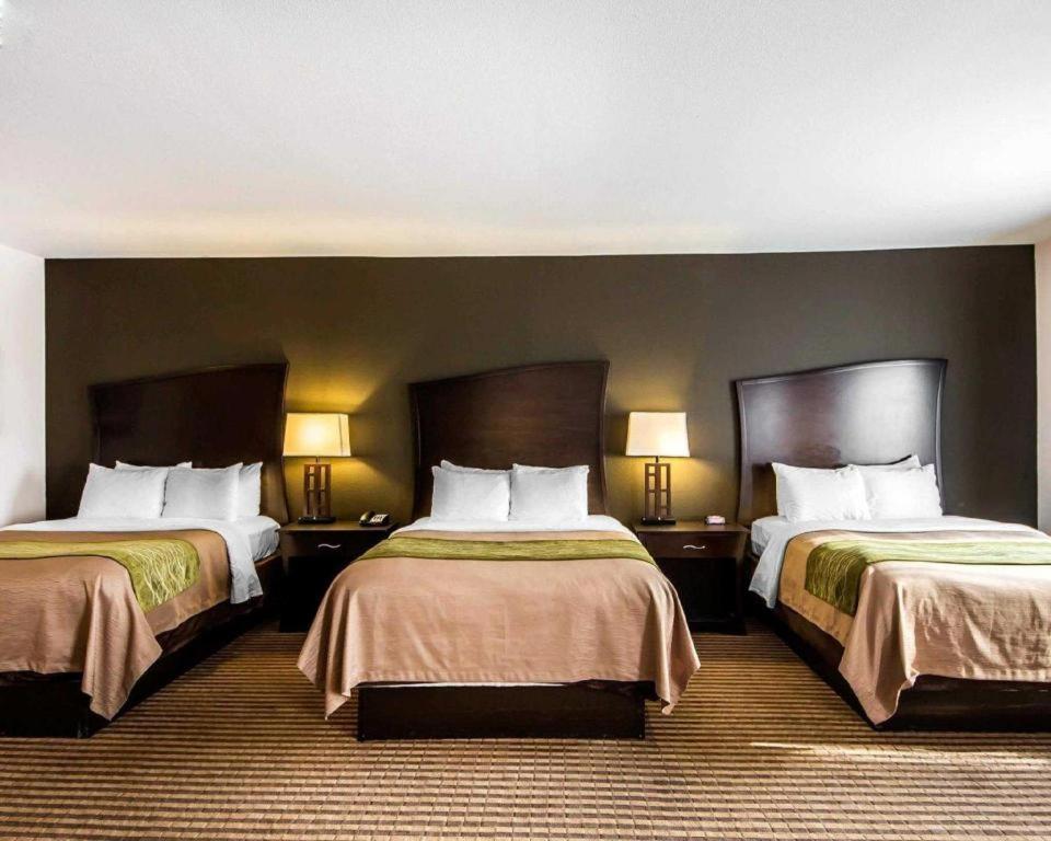 Alva Comfort Inn & Suites מראה חיצוני תמונה